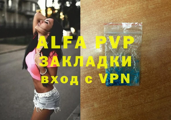 прущие грибы Михайловск
