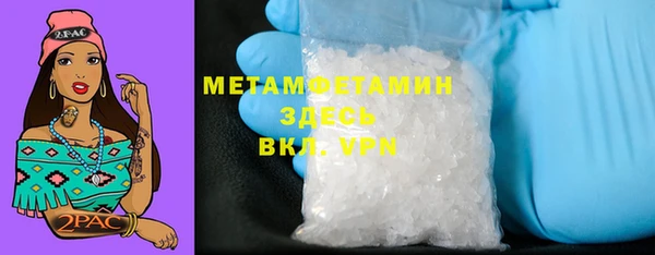 прущие грибы Михайловск