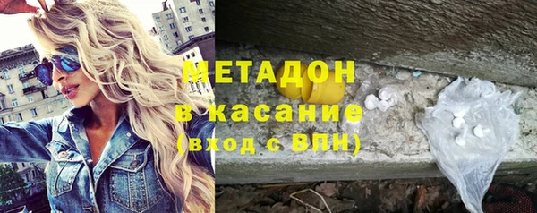 прущие грибы Михайловск
