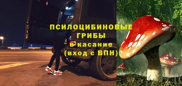 прущие грибы Михайловск
