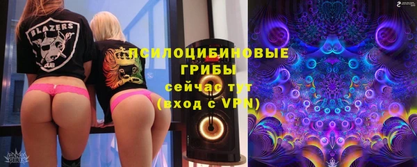 прущие грибы Михайловск