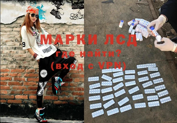 прущие грибы Михайловск