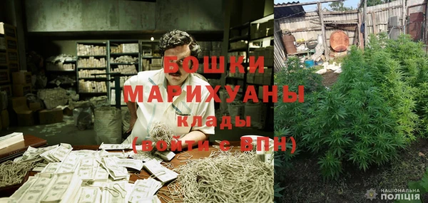 сатива Михайловка