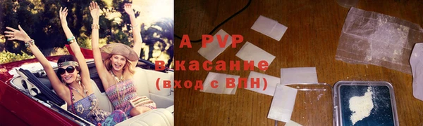 прущие грибы Михайловск