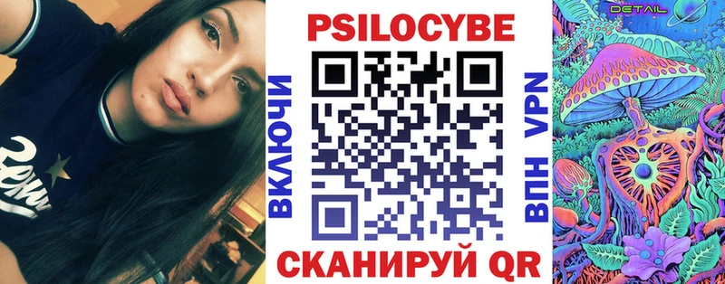 дарк нет состав  Ершов  Псилоцибиновые грибы Cubensis 
