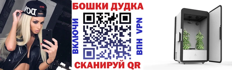 МЕГА как зайти  цена наркотик  Ершов  Марихуана семена 